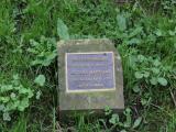 image of grave number 789603